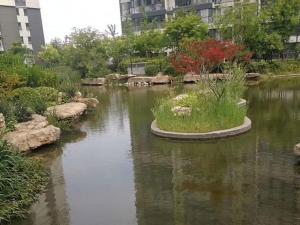 水系驳岸石工程案例