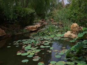 水系驳岸石工程案例