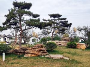 草坪点缀石案例 